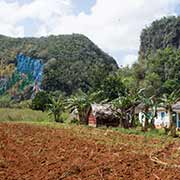 Farmer's field, Prehistory mural