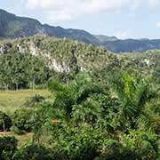 Viñales valley from Raices viewpoint