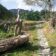 'Raices' sculptures, near Viñales