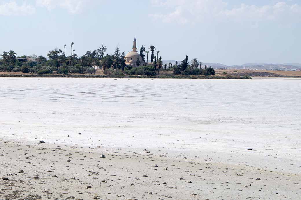 Larnaca Salt Lake