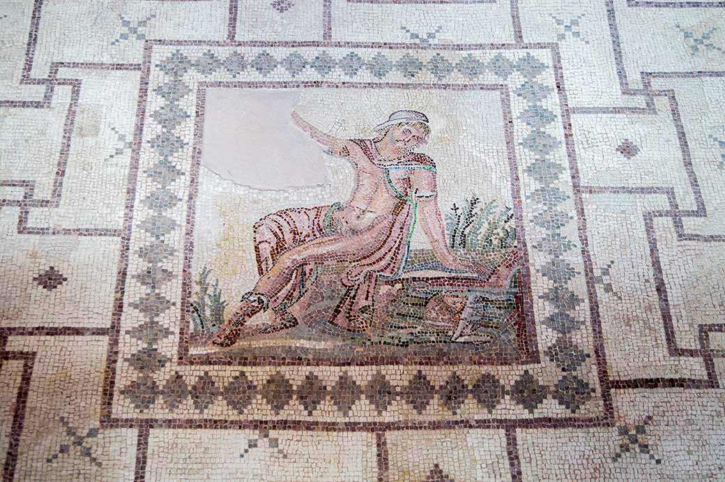 Narcissus mosaic, Dionysos' House