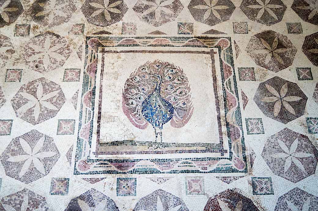 Peacock mosaic, Dionysos' House