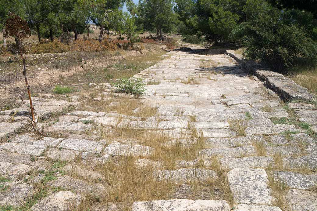 Colonnaded Street, Salamis