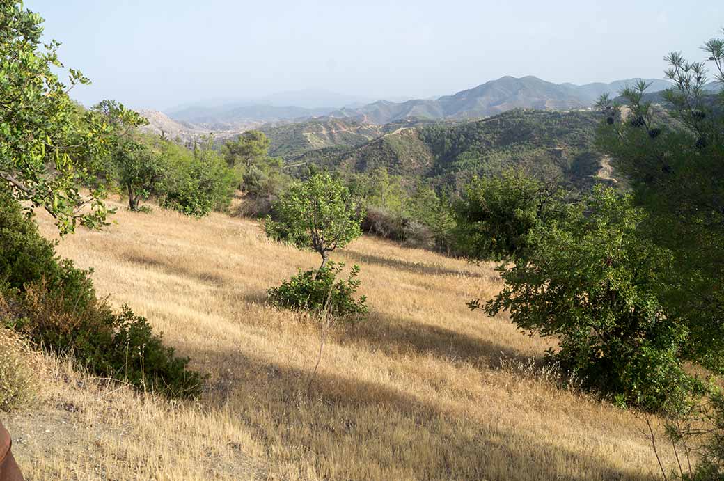 Landscape near Bademliköy