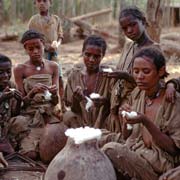 Cotton workers