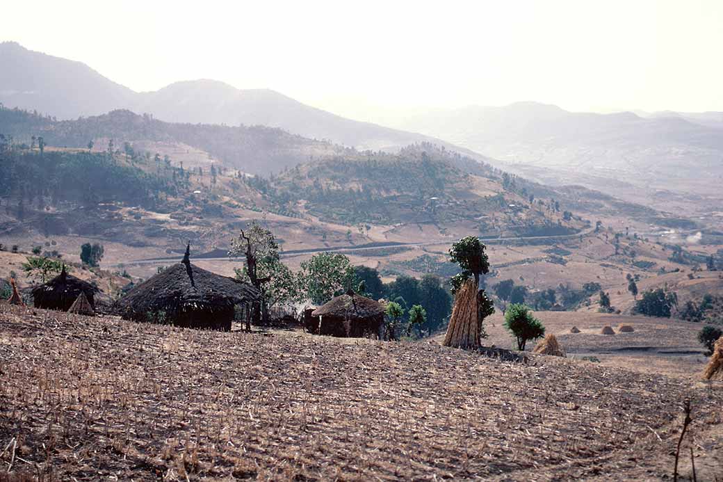 Farm near Kulubi