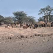 Along Addis-Awash road