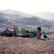 Farm near Kulubi