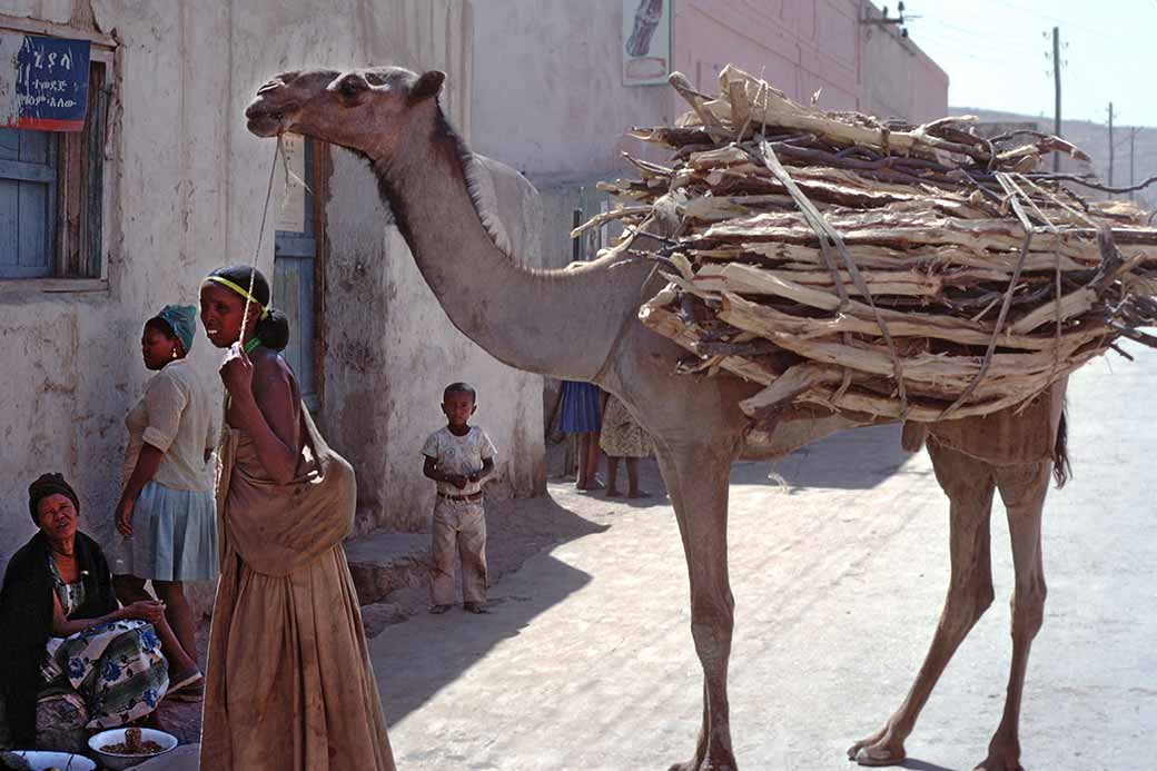 Loaded camel