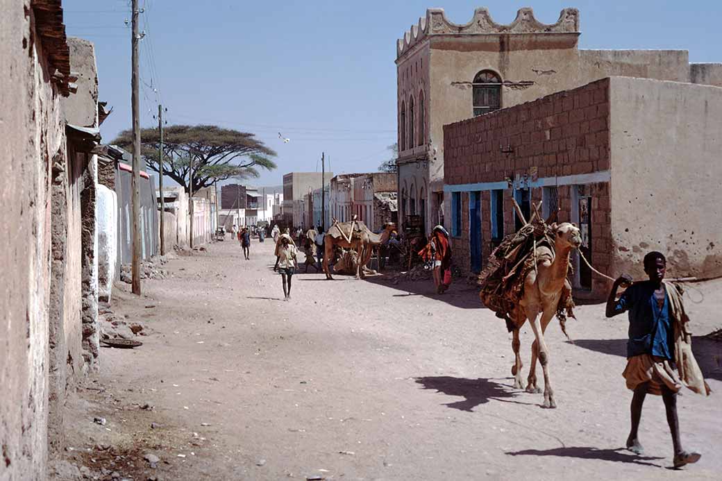 Leading a camel