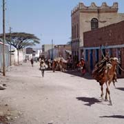 Leading a camel