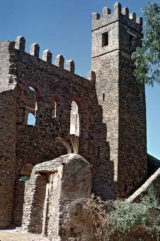 Castle tower