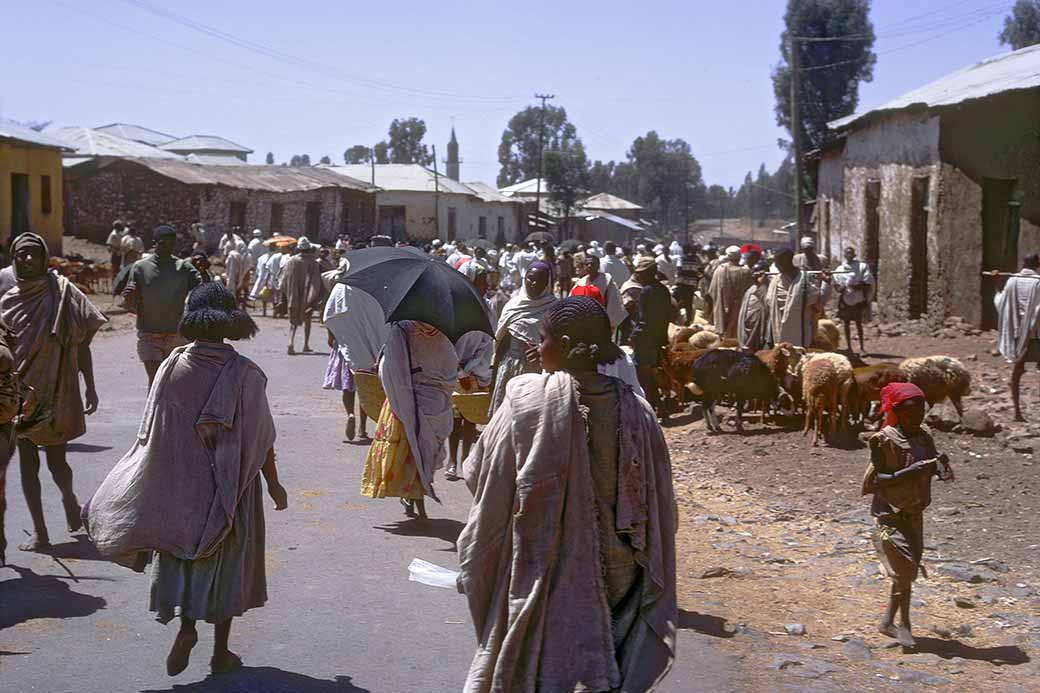 Going to the market