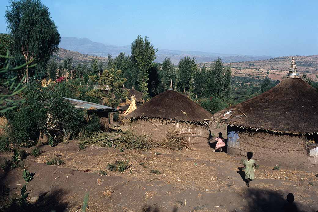 Typical houses