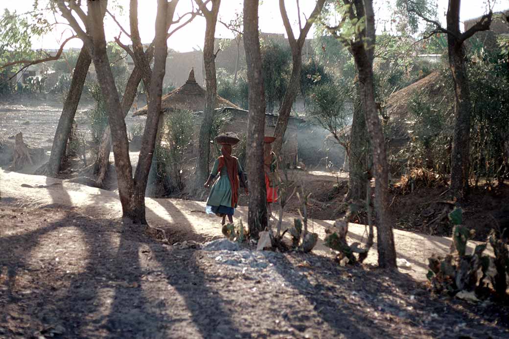 Just outside Harar