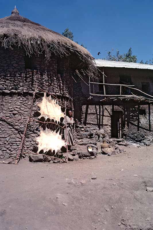 Thatched house