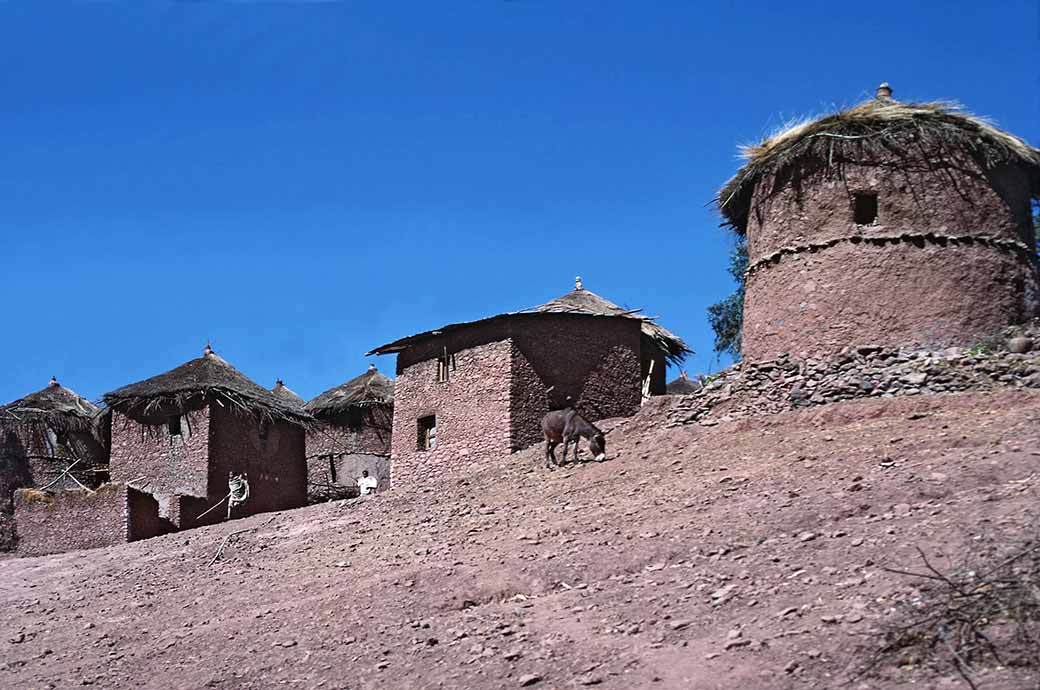 Houses on the hill