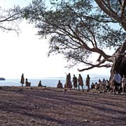 Lake Tana