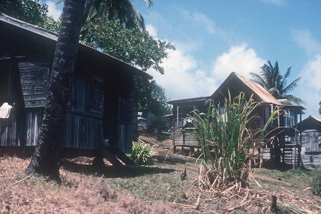 Houses in Paradise