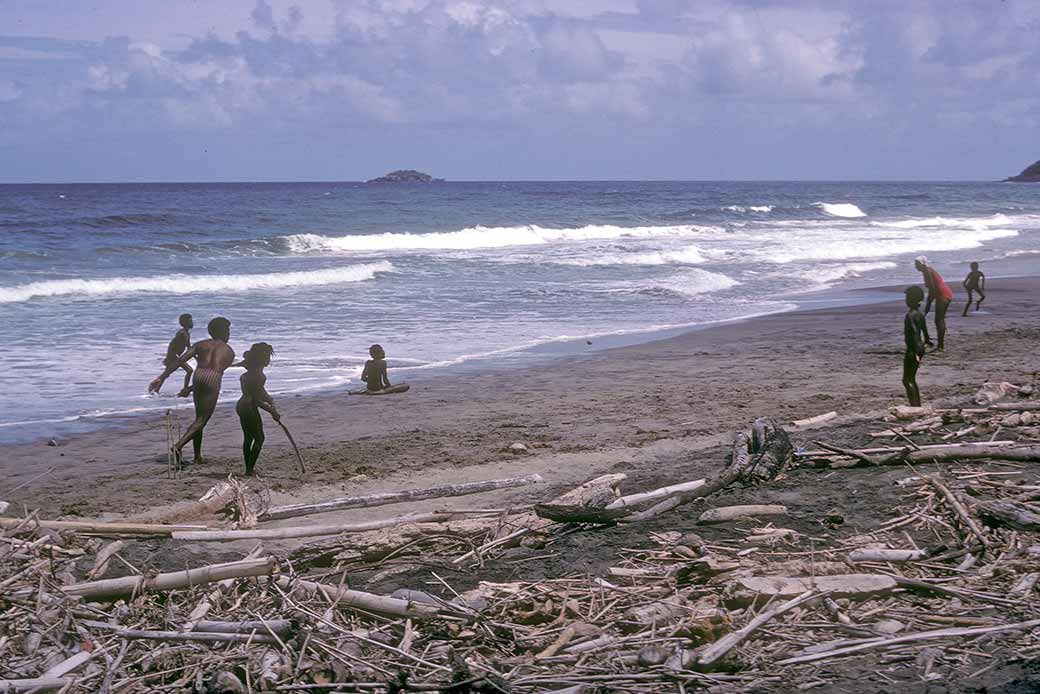 Cricket on the beach