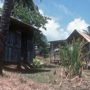 Houses in Paradise