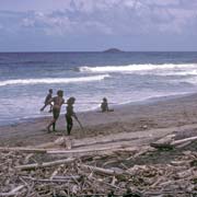 Cricket on the beach