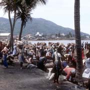 Charcoal market, Le Cap