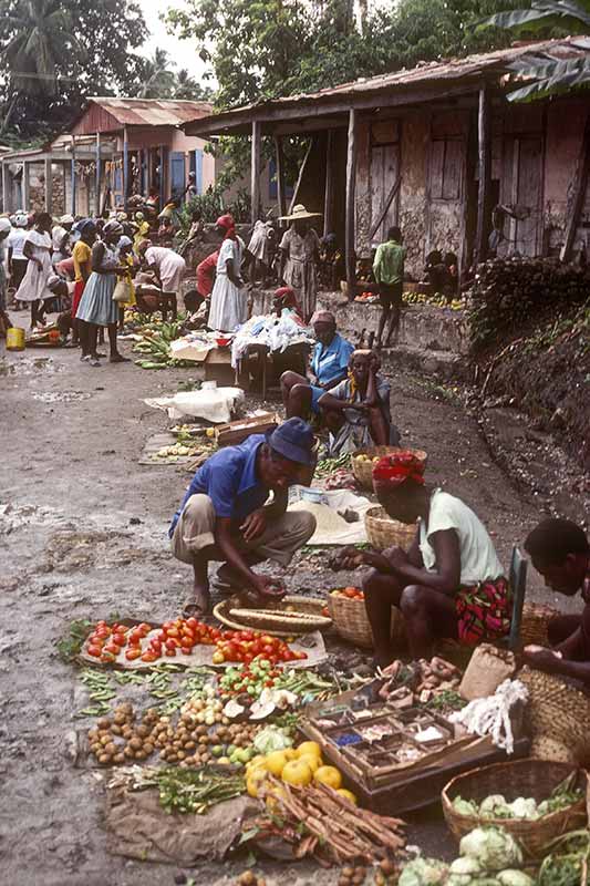 Selling tomatoes