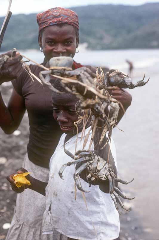 Jacmel crabs