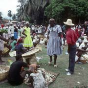 Market scene