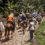 Tourists on horseback