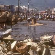 Baskets for sale