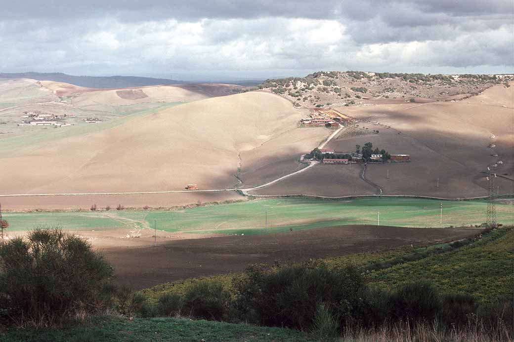 View near Tarquinia