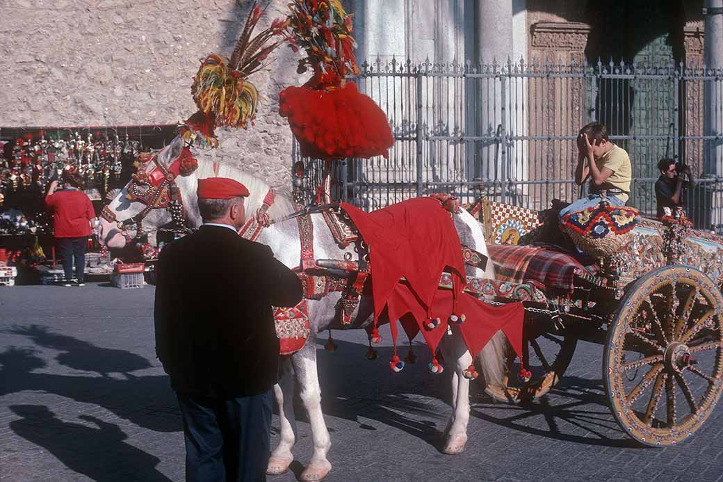 Horse and cart