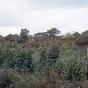 Huts north of Nakuru