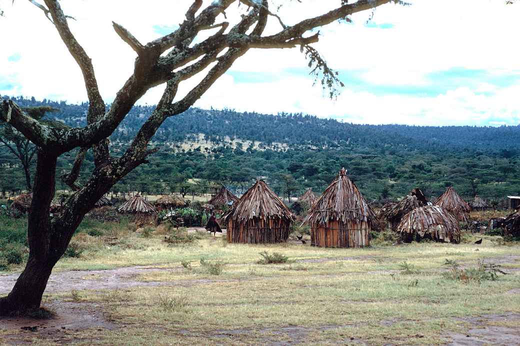 Turkana village