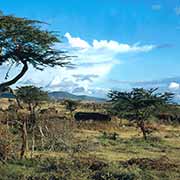 Samburu village