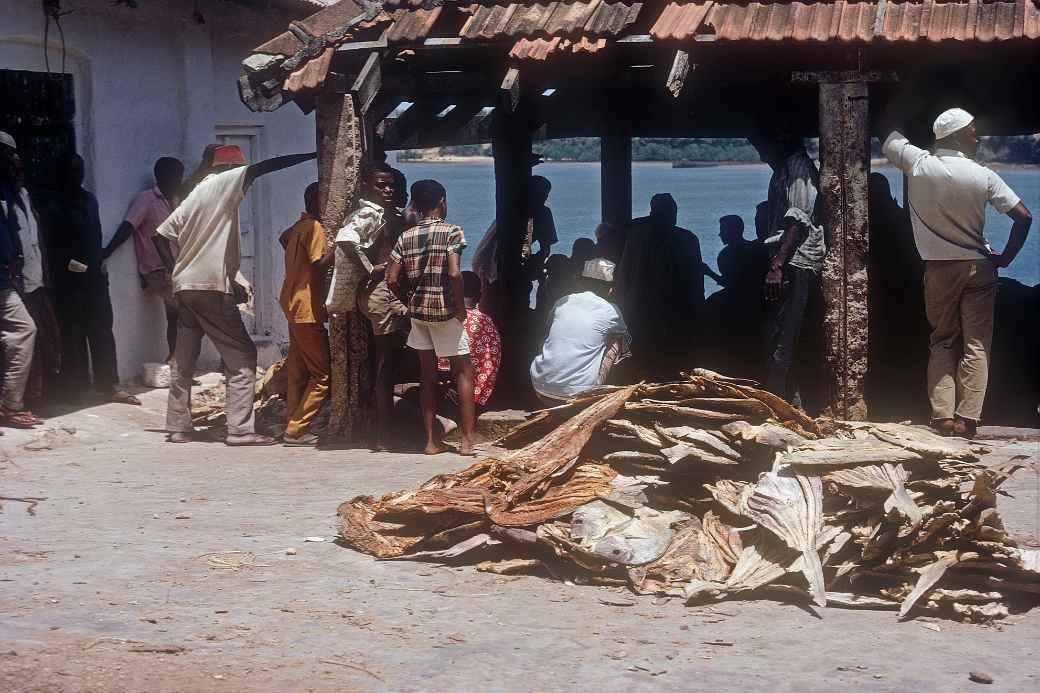 Fish market