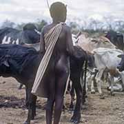 Maasai herd boy