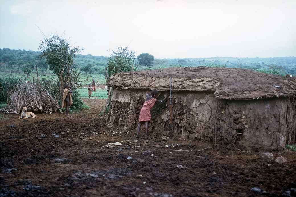 Plastering the hut