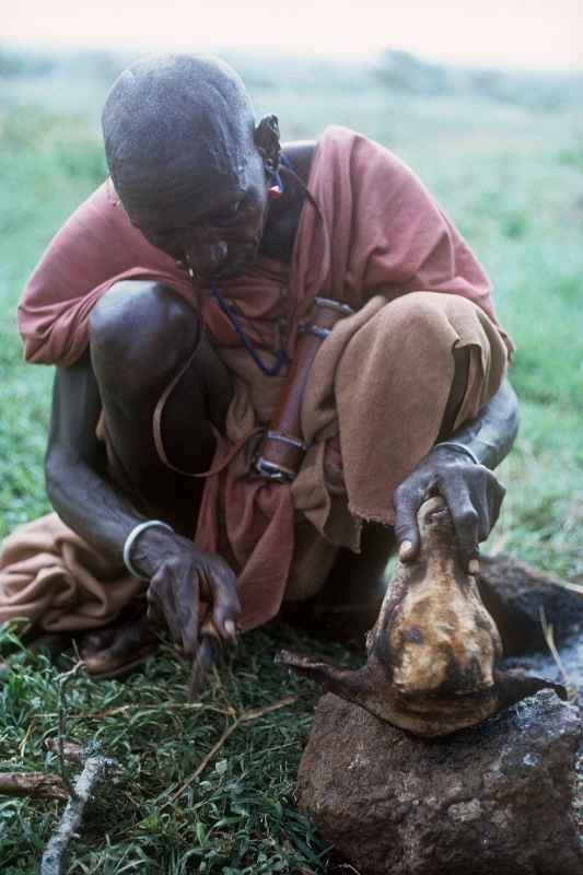 Scratching a goat’s head