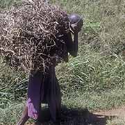 Kikuyu woman