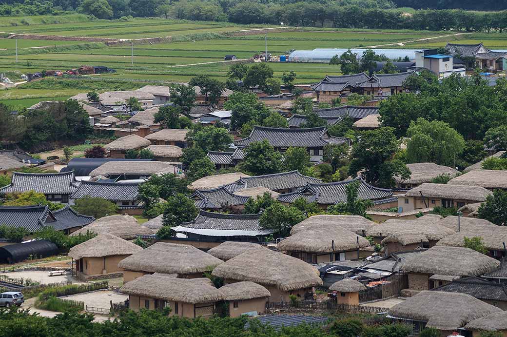 Hahoe from Buyongdae Cliff