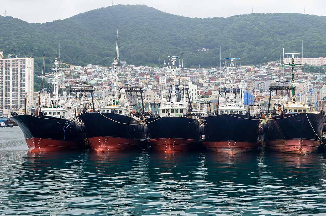 Fishing ships