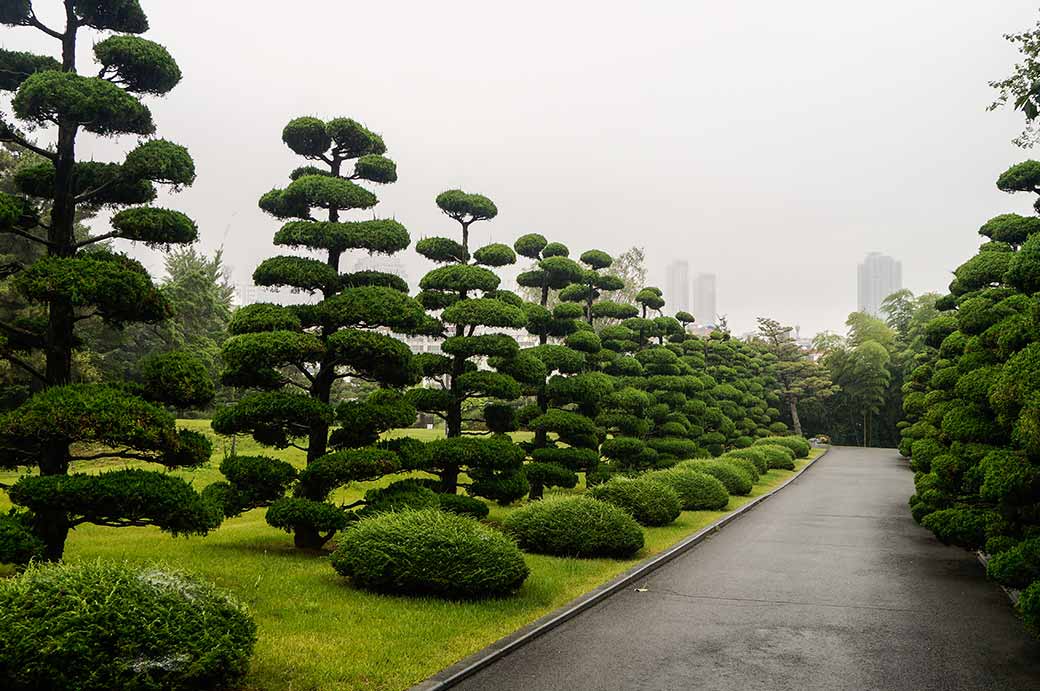 UN Memorial Cemetery