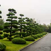 UN Memorial Cemetery