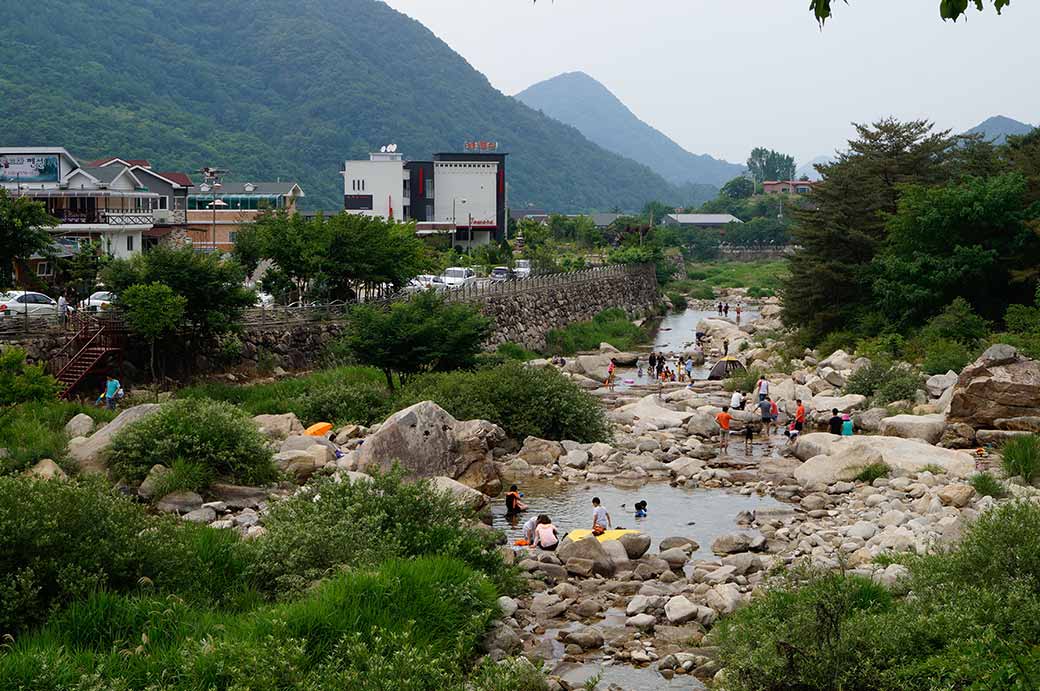 Along the river