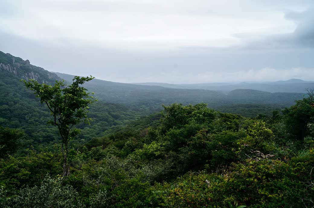 View to the coast