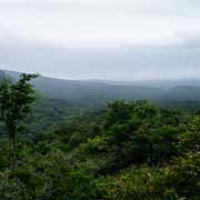 View to the coast