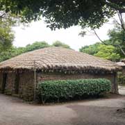 Traditional houses